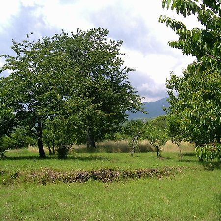Villa Cirasellaetna SantʼAlfio Exterior foto