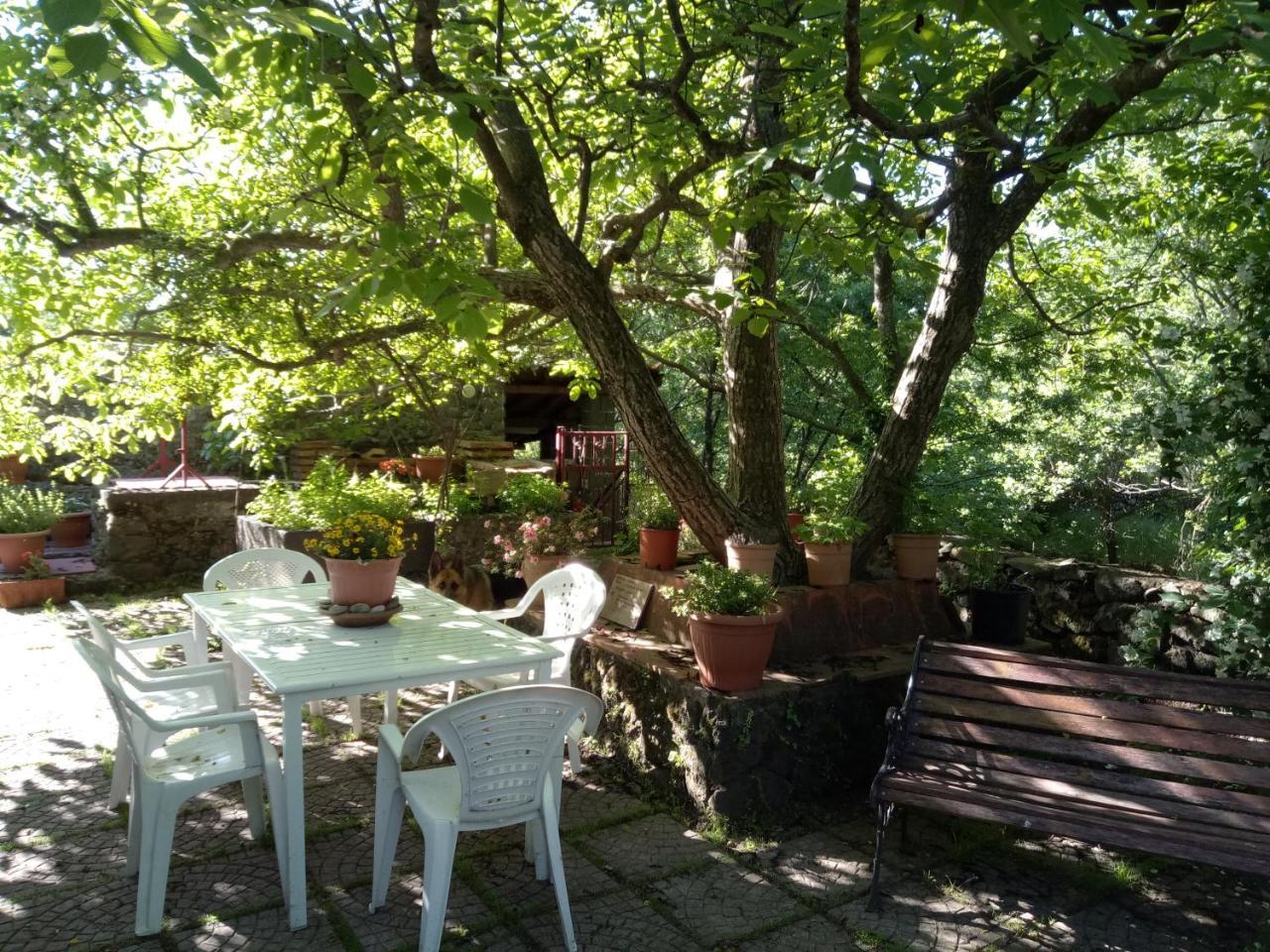 Villa Cirasellaetna SantʼAlfio Exterior foto