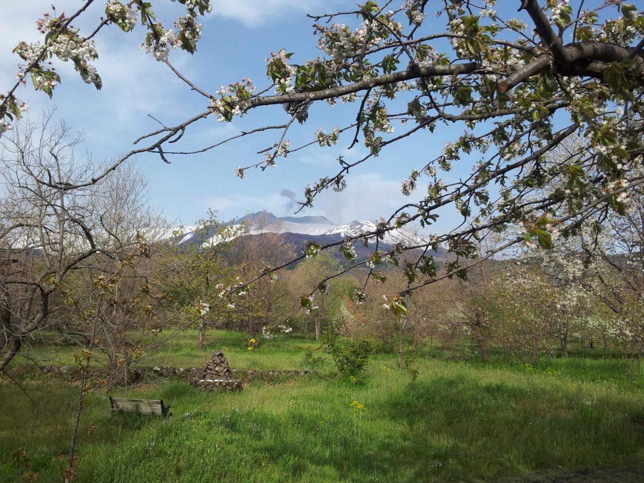 Villa Cirasellaetna SantʼAlfio Exterior foto