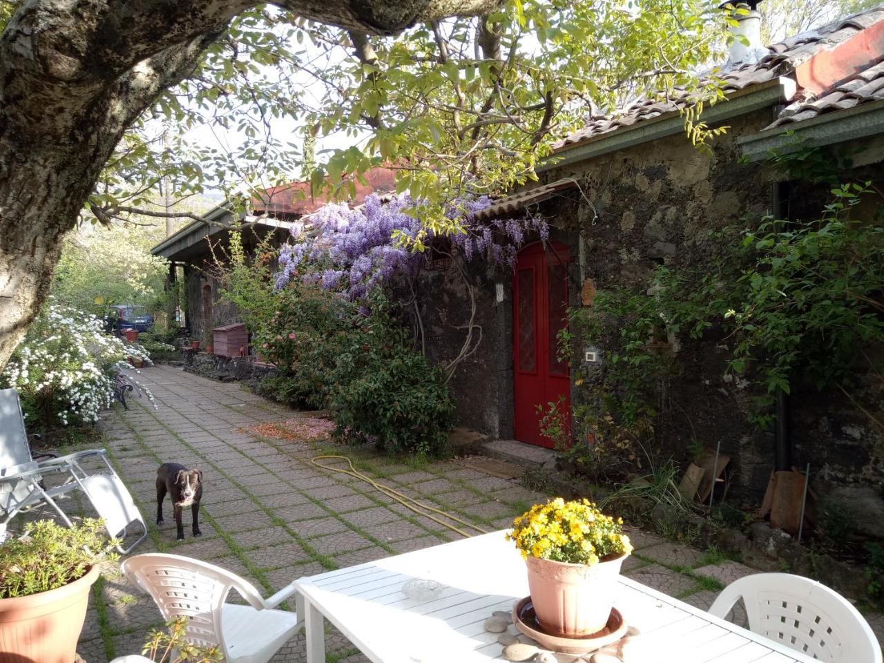 Villa Cirasellaetna SantʼAlfio Exterior foto